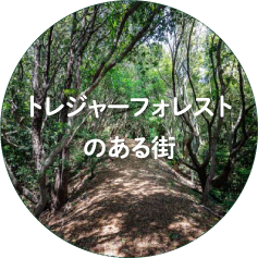 トレジャーフォレストのある街