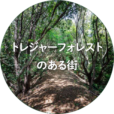 トレジャーフォレストのある街