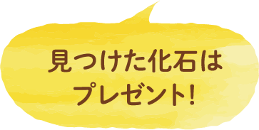見つけた化石はプレゼント！