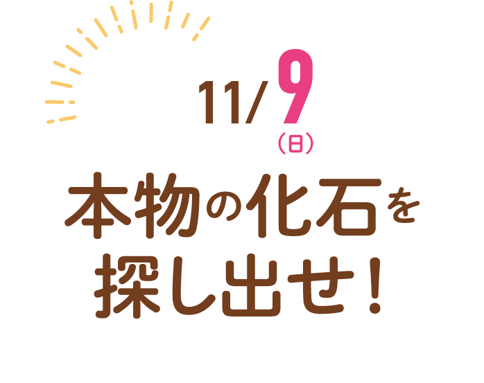 11/9(日)本物の化石を探し出せ！